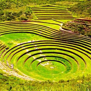 Moray
